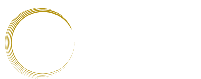 albany web design