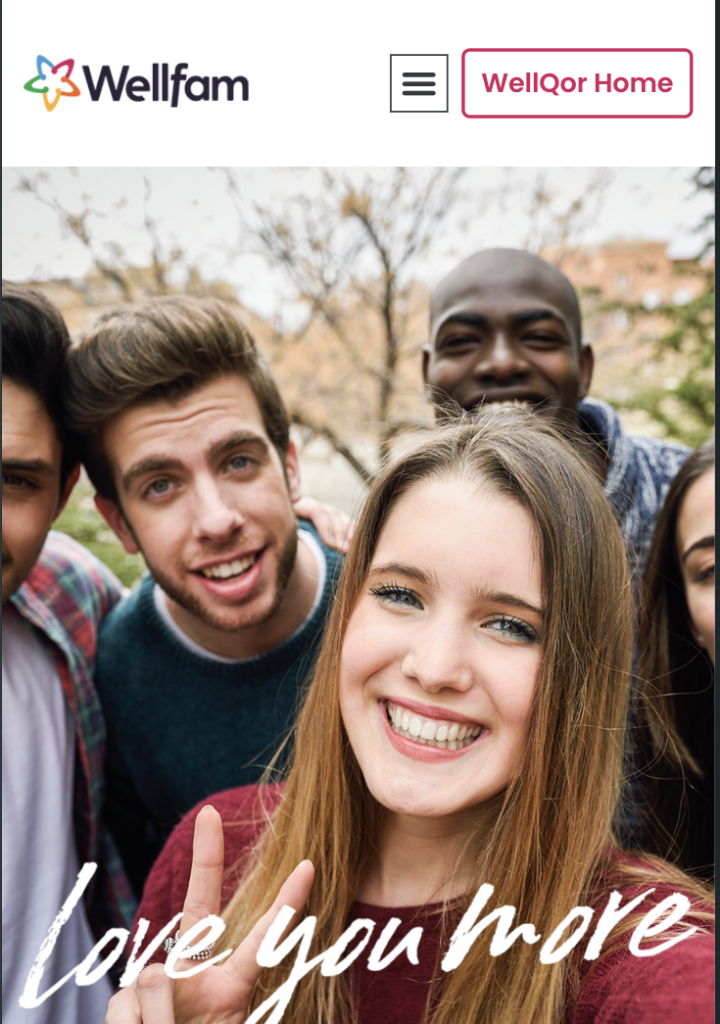 Wellqor teen therapy website