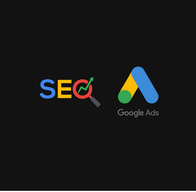 albany seo