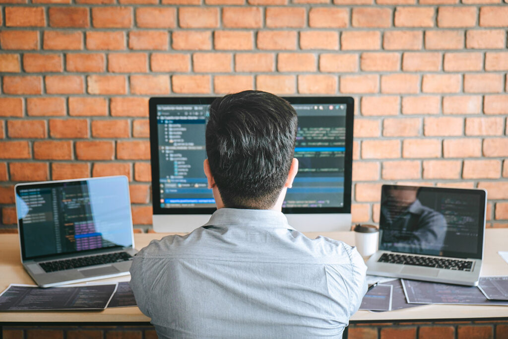 Albany web development